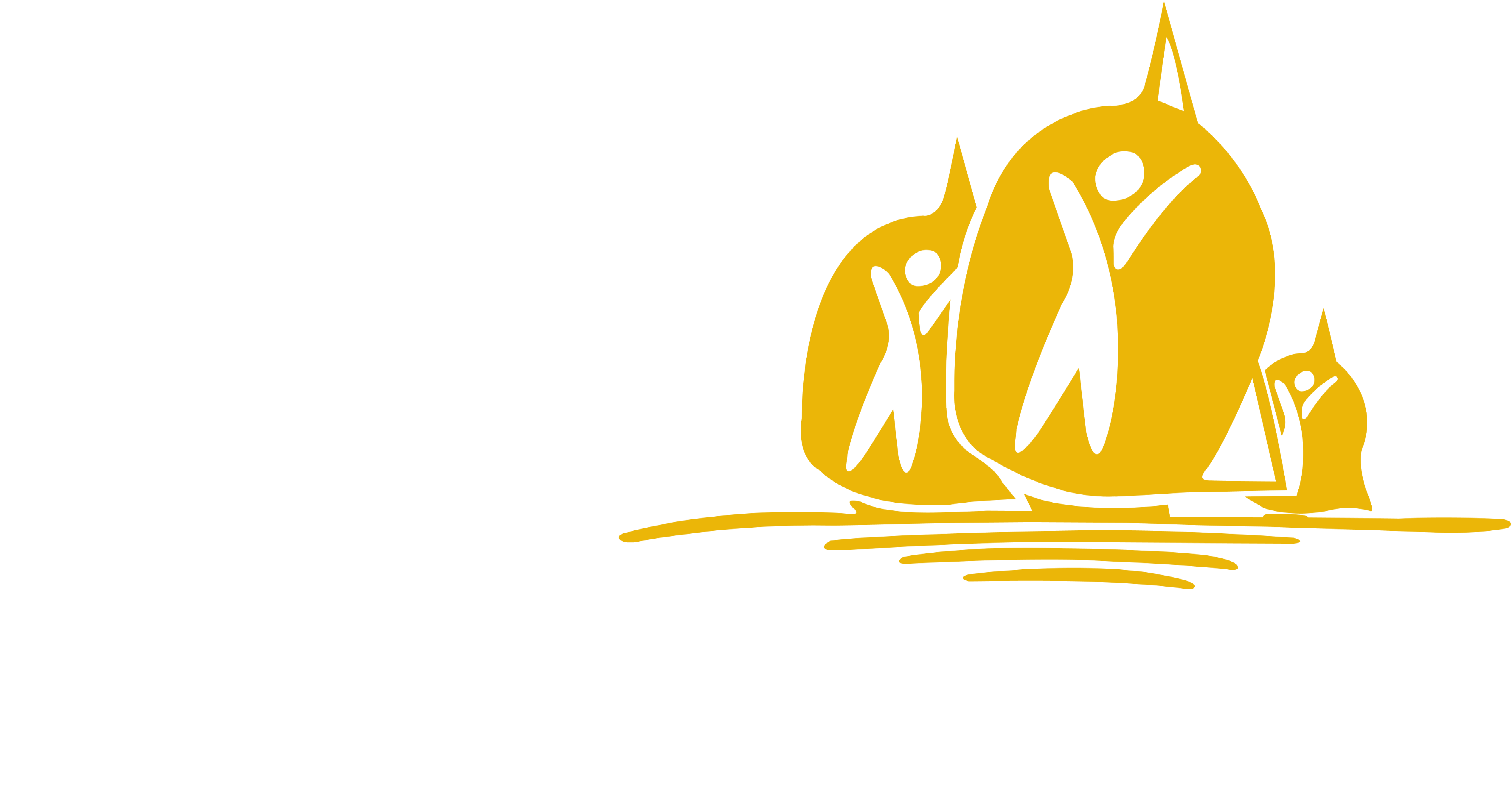 Vela Solidaria